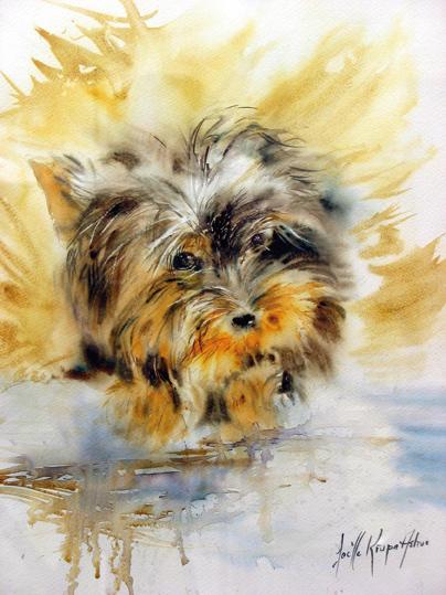 chien.jpg