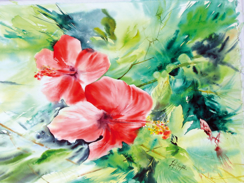 hibiscus.jpg