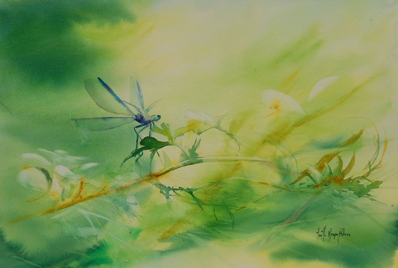 libellule-35x51-2008.jpg
