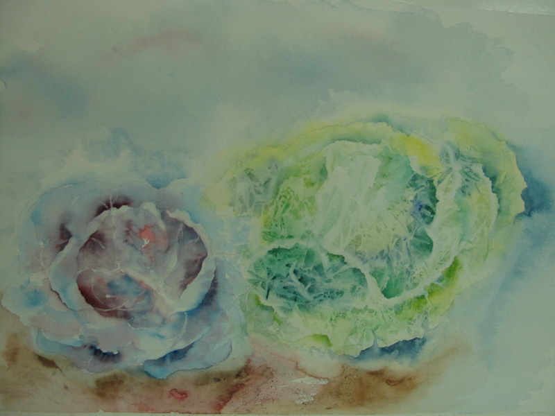 Cours-Purpan-02-2010.jpg