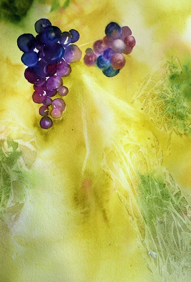 labaroch-06-2014-12-copier.jpg